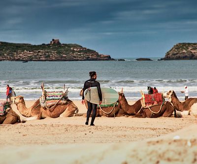 Pack - Magnificent Morocco