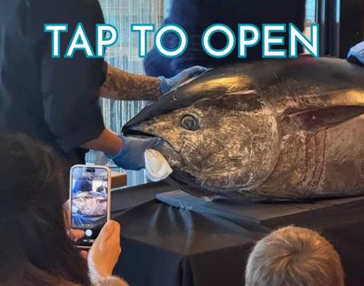 Pack - Hamptons Pack